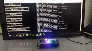 Raspberry Pi Zero W with ReSpeaker 2-Mics Hat running Google Assistant & Alexa simultaneously(Ver.2)