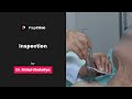 How to do inspection  dr shital ghataliya  physiology prepclinic