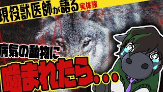 【雑談配信】噛まれて最も痛かった動物は...○○！？感染症のリスクは？【獣医師】【EquuStream V#198】