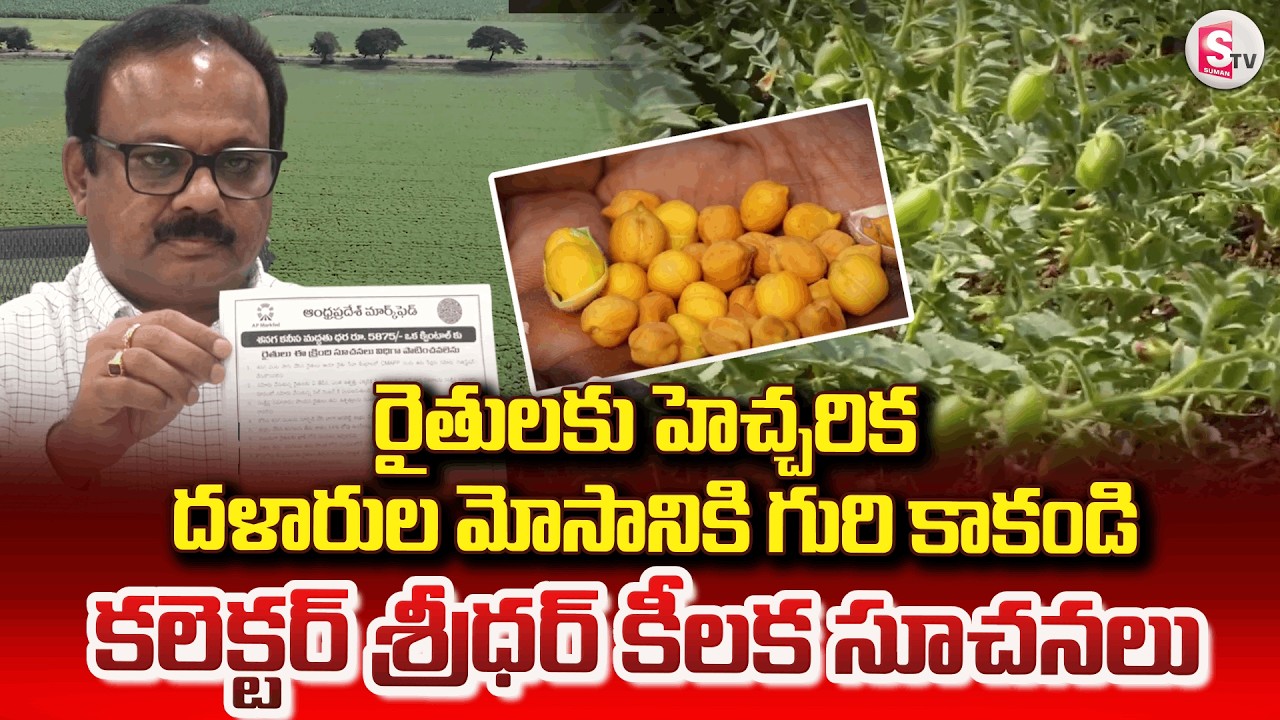 రైతులకు గుడ్ న్యూస్ .. మద్దతు ధరలపై కలెక్టర్ క్లారిటీ..| Farmers Must Watch | Collector Message