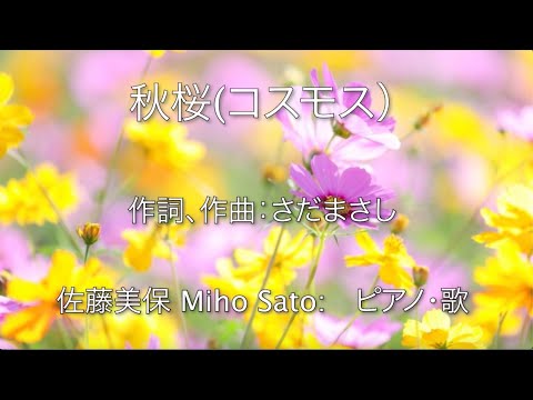 「秋桜（コスモス）」1977年10月1日にリリースされた山口百恵の楽曲    作詞･曲:さだまさし