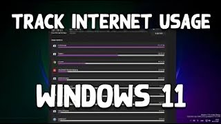 How to Check Internet Data Usage Apps in Windows 11 screenshot 1