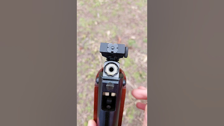 Rifle Weihrauch Hw80/Beeman R1 "El Percherón" - Caza de palomas.