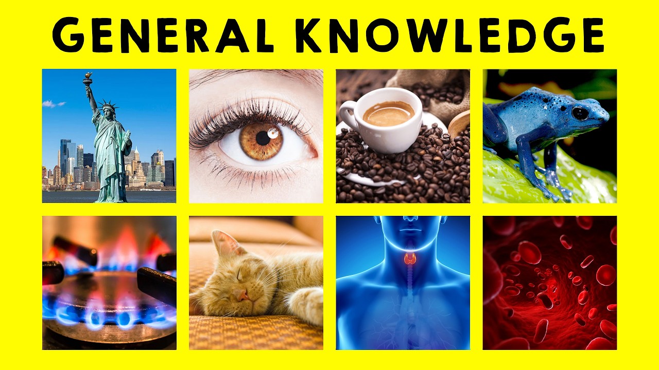 General Knowledge Quiz 🧠 | Can You Beat All 50 Questions?