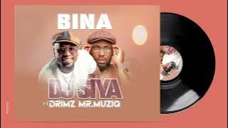 Djsiya ft Drimz Mr. Muziq - Bina (  Audio)