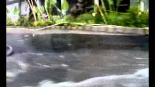 Jakarta Floods in 2009