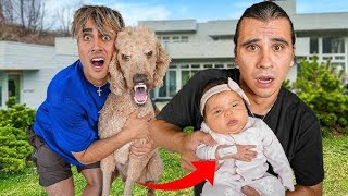 Darius And Cyrus - Our Dog Bit Our Baby Daughter Dobre Brothers