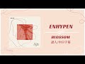 【認聲中字/日本語字幕】ENHYPEN (엔하이픈) &ldquo;Blossom&rdquo;✿