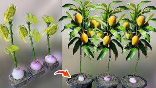 How To Grow Mango Trees From Mango Branches in Onions