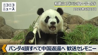 ニコニコニュースの配信のサムネイル画像