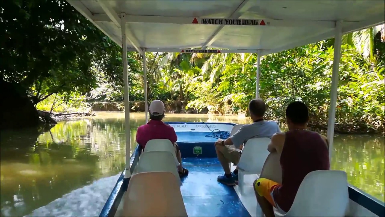 Monkey tour | Eco Wonders Travel | Los suenos Costa Rica