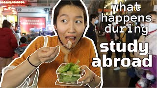 study abroad ep. 14 | guangzhou street food, night market, clothes bargaining