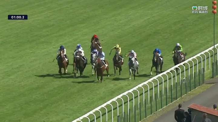 法国纪尔斯大赛 Prix Maurice de Gheest 一级赛 G1 1300m 2023-08-06 帝金 King Gold 多维尔马场 Deauville Racecourse - 天天要闻