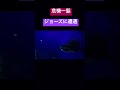 ジョーズに遭遇【衝撃映像】