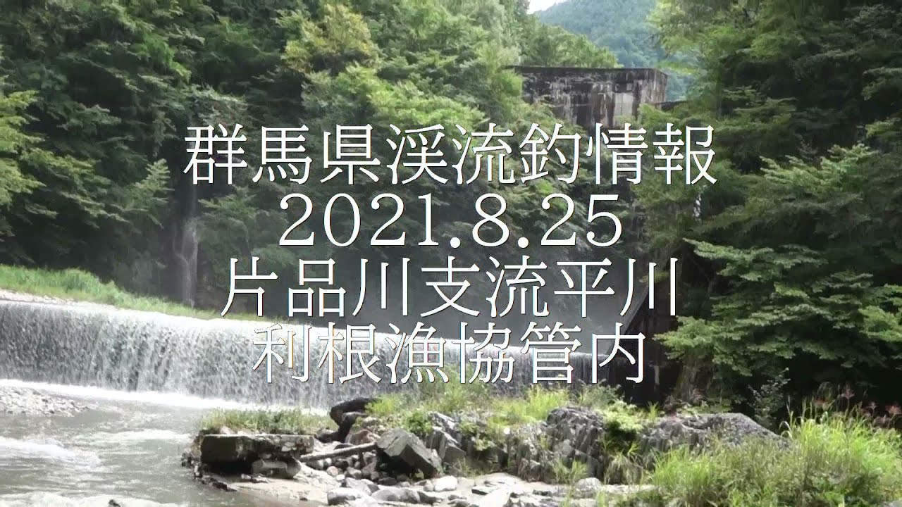 群馬県渓流釣情報 ２０２１ 8 25 片品川支流平川 下流部 利根漁協菅内 Youtube