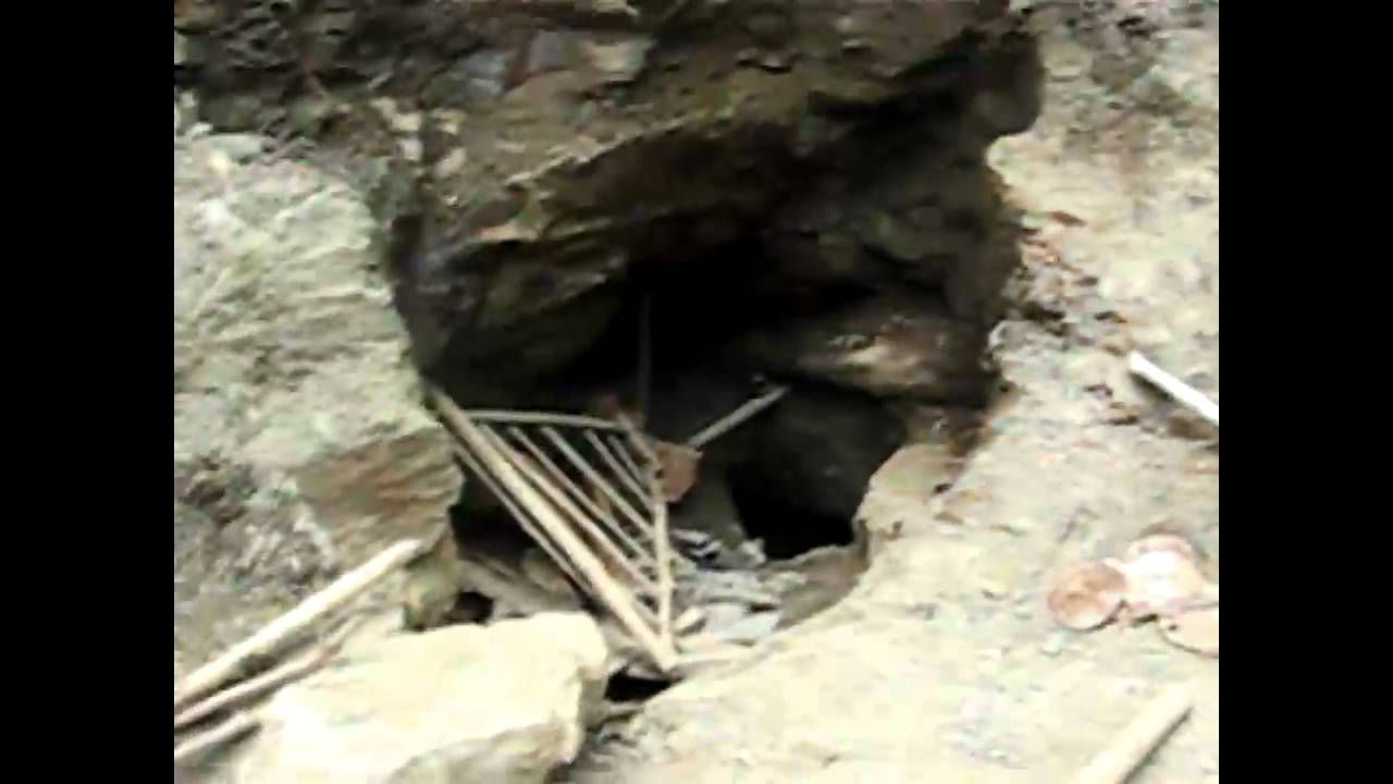 TerraTreasures Amber Collecting in the La Bucara amber mine Dominican Republic