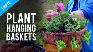 A Guide To Hanging Basket Plants & Flowers