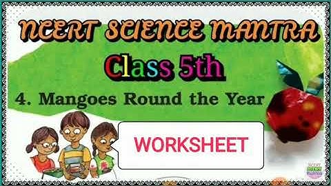 NCERT EVS ,Class 5, Chapter 4, Worksheet, NCERT SCIENCE MANTRA