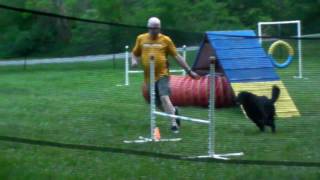 Nova Agility Class May 26 2016 Nova 3