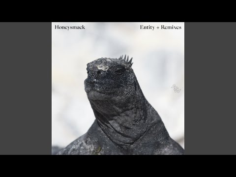 Honeysmack — Entity (Honeysmack Acid Remix)