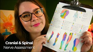 Nervous System Medical Assessment (Cranial & Spinal Nerve Testing, Sensation Tests) 🩺 ASMR Roleplay screenshot 3