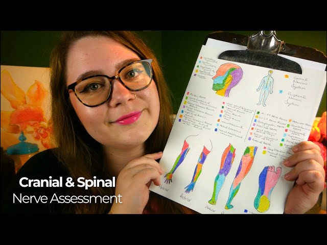 Nervous System Medical Assessment (Cranial & Spinal Nerve Testing, Sensation Tests) 🩺 ASMR Roleplay