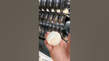 Dough Divider and Rounder