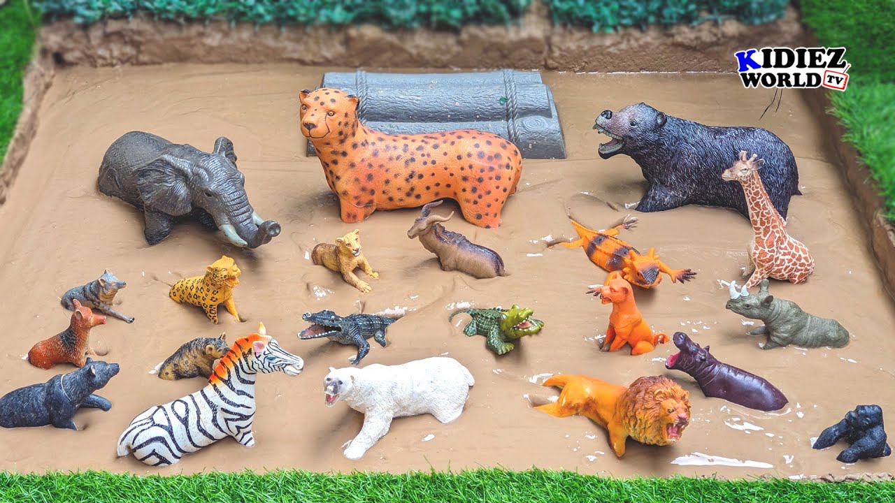 African Zoo Animals in the WILDEST Mud Rescue EVER! - YouTube