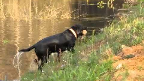 A good example of why you force fetch