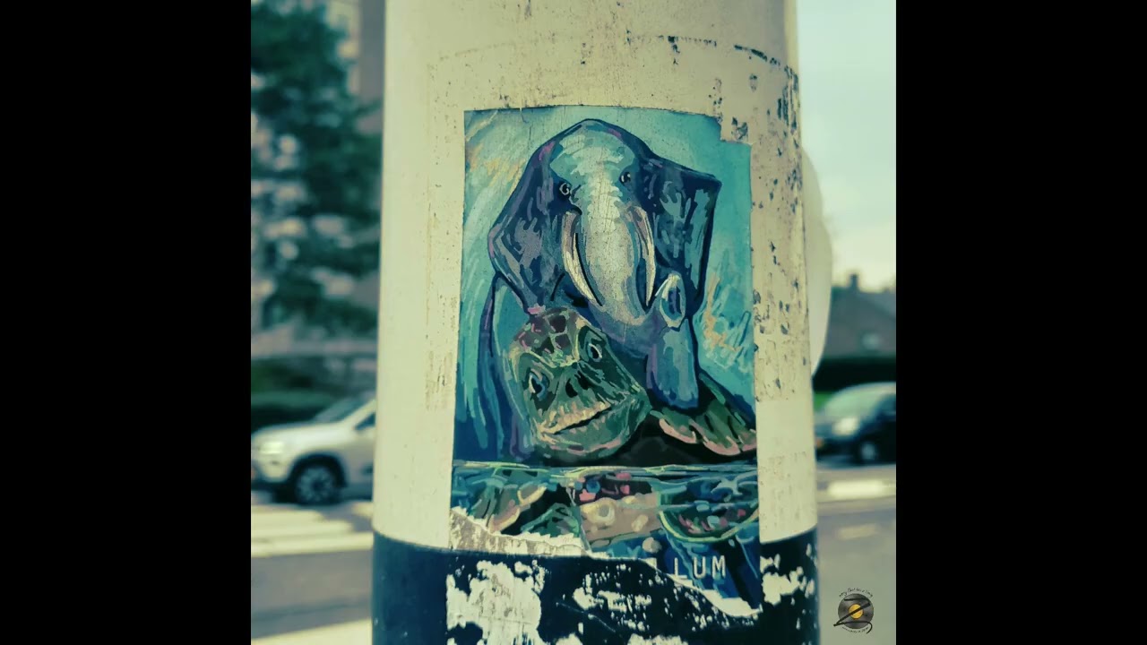 omønim - Life is a Movie 