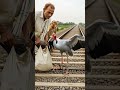 how a monkey 🐒 helped a helpless sarus #shorts #animalrescue #ai #cartoon #monkekys