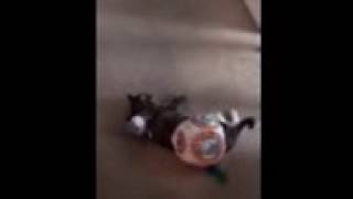 BB8 Malfunction