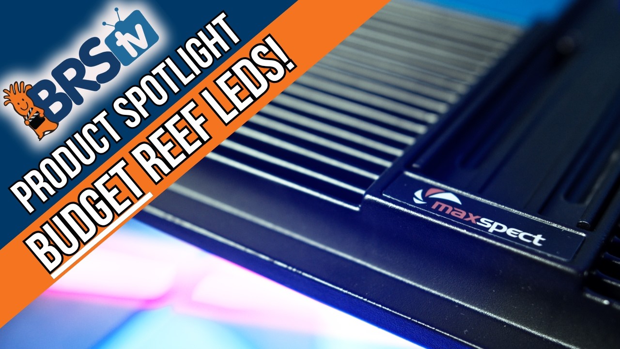 Maxspect Jump MJ-L230 Light Fixtures - Bulk Reef Supply