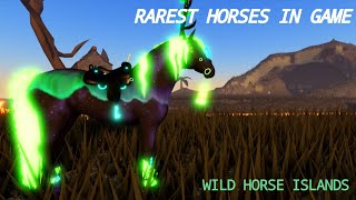 The Rarest Horses That You May Have Never Heard Of! [WHI \/ WILDHORSEISLANDS]