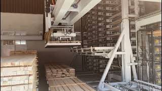 Custom Robotic Handling Solutions: Continuous Production Flow & System Integration | Dalso