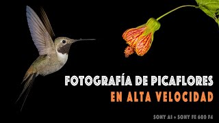 Fotografía de Picaflores en alta velocidad