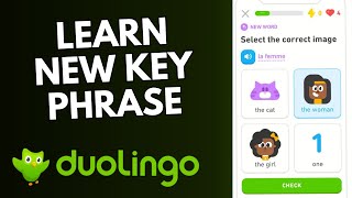How to Learn New Key Phrases in Duolingo 2025? screenshot 2