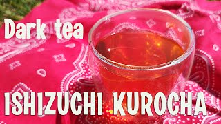 Ishizuchi Kurocha, Japanese post-fermented tea Net Worth