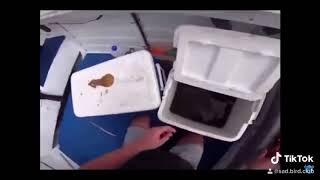 Poor Squidward.. meme