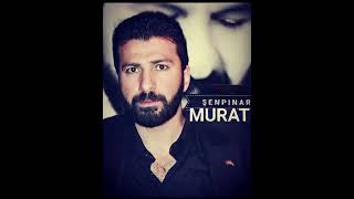 Murat Şenpınar Vay Gülüm