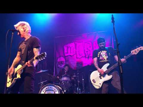 Mest - Opinions