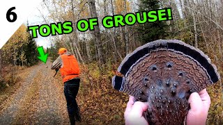 I LIMITED OUT In 30 Minutes While GROUSE HUNTING In Northern Ontario!!!