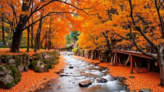картинка: Музыкальная терапия 🍁 Осенние мелодии для снятия стресса и исцеления, музыка для сна