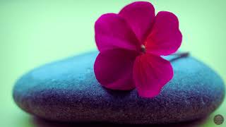 Enchanted Solitude: Meditative Music for Inner Reflection and Calm
