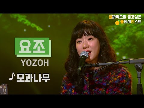 [HQ Audio] 요조YOZOH - 모과나무 [KBS제주]2021 힐링콘서트 당신의 안녕 2021.12.28 방송