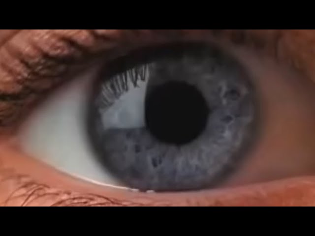 Twene4 - My Heart Bleeds (Deeper) (Kurrgas Edit) [Music Video]