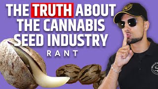 The Dark Truth About The Cannabis Seed Industry 🤫