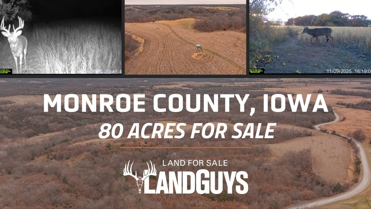 A Monroe County, Iowa Property Built for Big Deer
