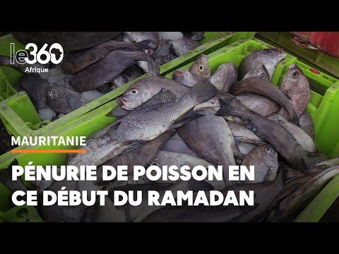 Pénurie de poisson: à Nouakchott, il n’y a rien à frire pendant ramadan