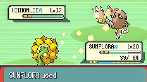 Emerald Kaizo Gym Leader Brawly